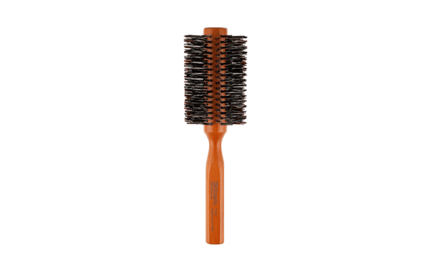 Brosse DNA EVOLUTION 13526