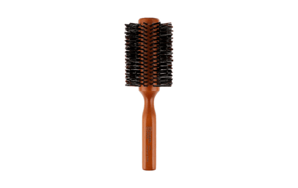 Brosse DNA EVOLUTION 13533